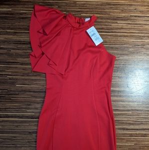 Red Fitted Dress with Asymmetrical Collar